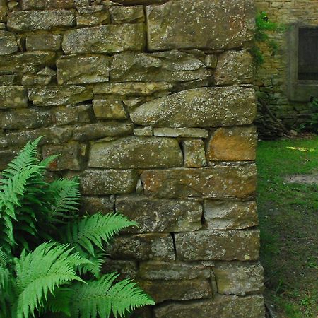 Casa Asso Di Coppe B&B アルバ エクステリア 写真