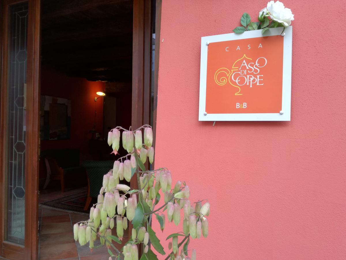 Casa Asso Di Coppe B&B アルバ エクステリア 写真